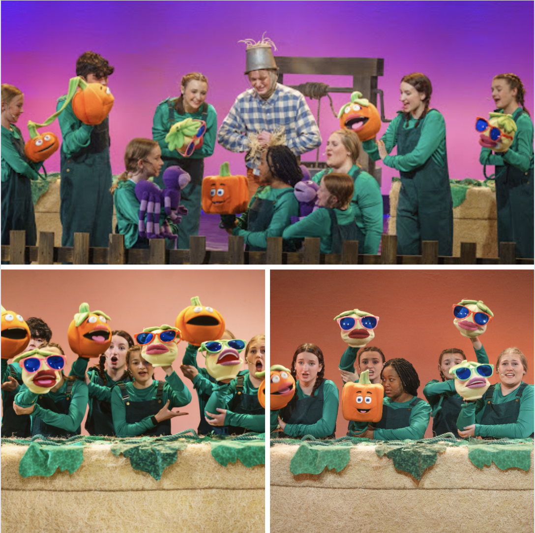 Credits to Valley Youth Theatre's 